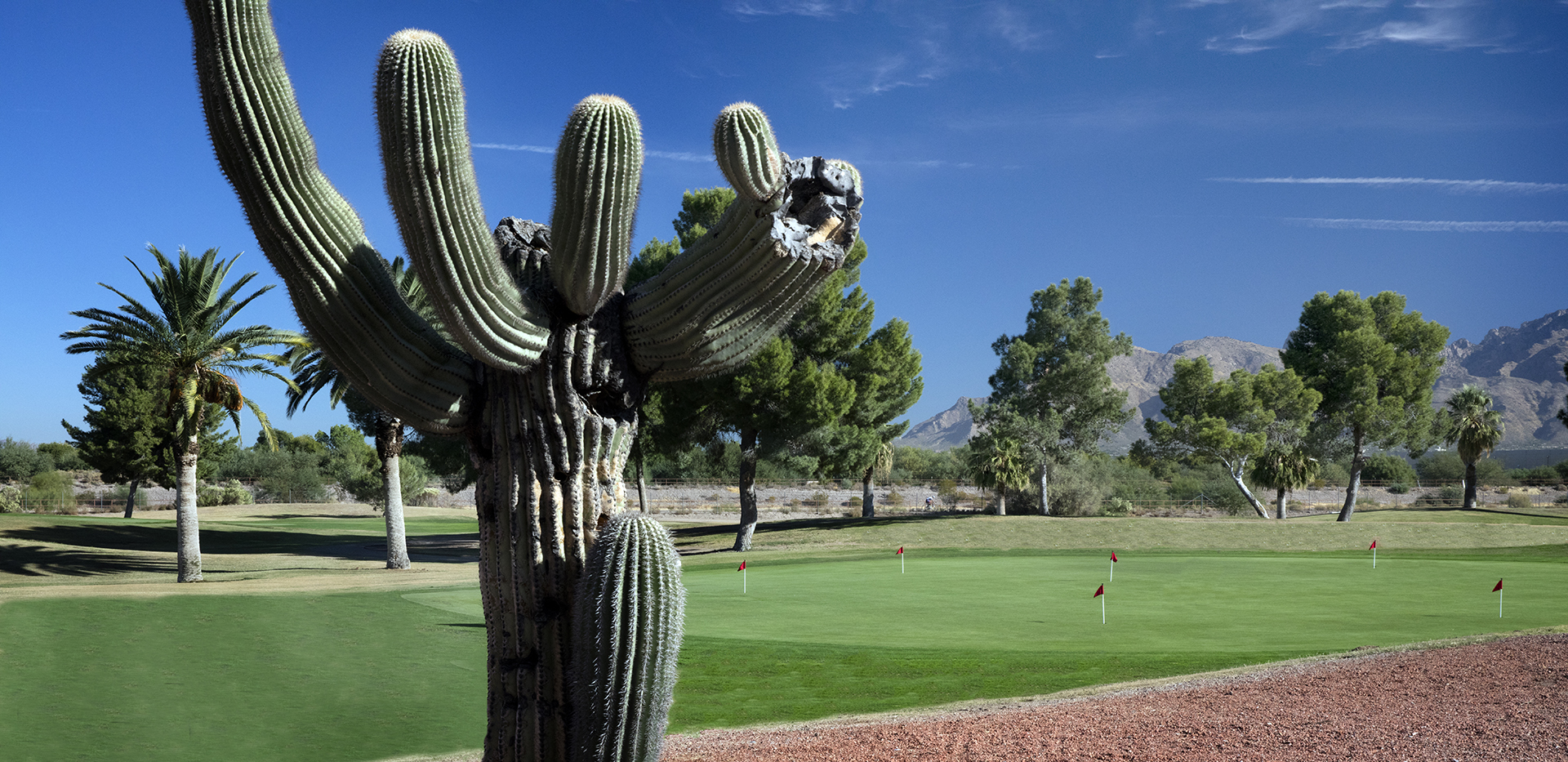 Tucson City Golf App